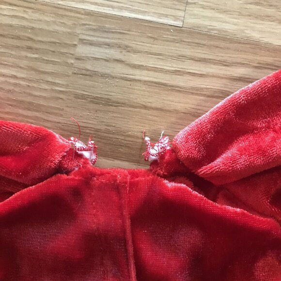 Ladybug & Mrs Clause Dog Clothing Adorable & Festive Outfits for Your Lil Friend - Picture 7 of 7